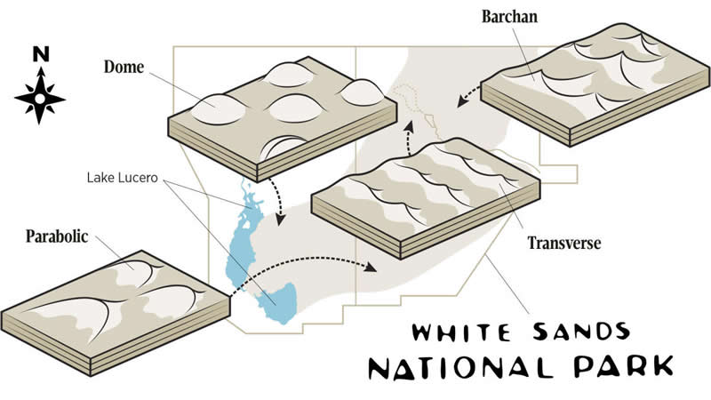 Sand Dune Types